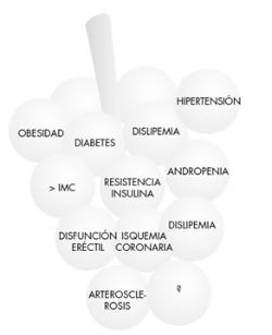 Síndrome Metabólico