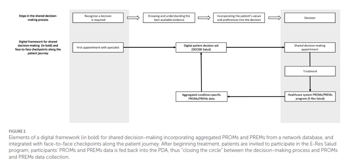 2024 09 23 Integración de los PROMs y PREMs en la toma de decisiones compartidas